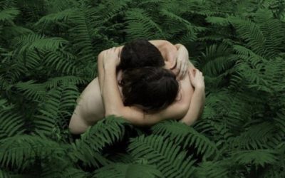 05.03.20 – Venere in Toro (h 04.07)