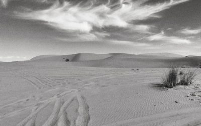 26.03.20 – Spirito epicureo