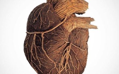 17.03.20 – Tenersi radicati