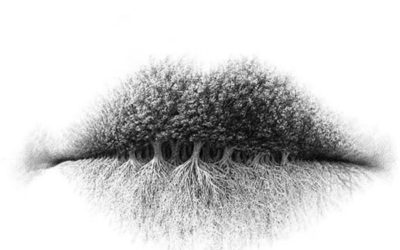 22.04.20 – Giornata Mondiale della Terra