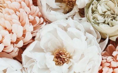 10.04.20 – Porgere un fiore