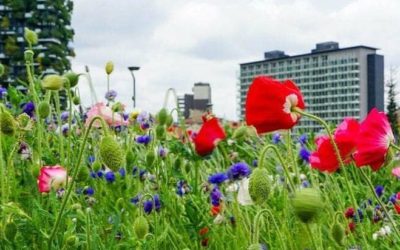 04.05.20 – Piedi per terra