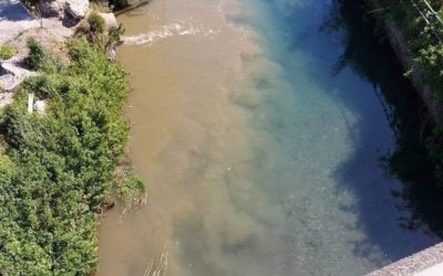 06.05.20 – Non torniamo indietro