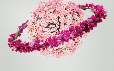 11.05.20 – Saturno diventa retrogrado