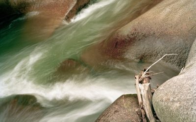 23.06.20 – Nettuno retrogrado