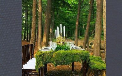 27.06.20 – La sontuosità di Madre Terra