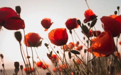 19.06.20 – Dualità