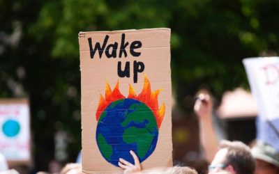 15.06.20 – Wake up!