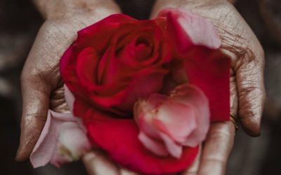 03.06.20 – Luna sul sentiero