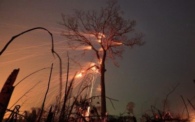 Il fuoco dell’estate (08.08.20 – 10.08.20)