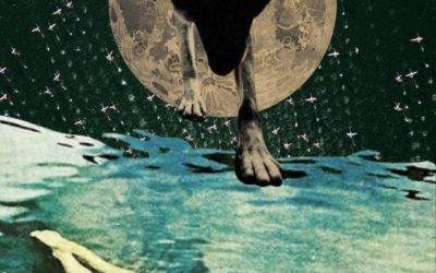 Luna Piena in Leone